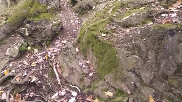 Randonnée Pédestre Montagne Travers Une Forêt Dessus Rochers Pierres Ralenti — Video