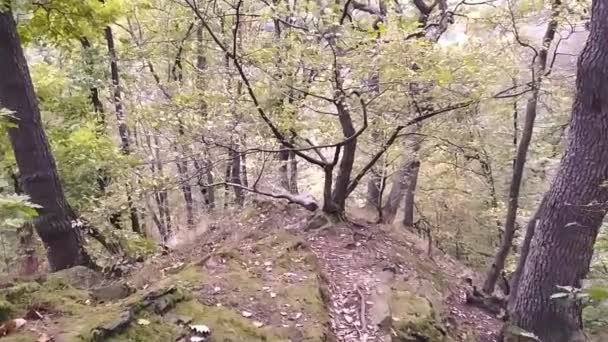 Passeio Montanha Através Uma Floresta Sobre Rochas Pedras Câmera Lenta — Vídeo de Stock