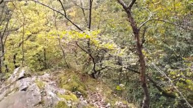 Yavaş çekimde kayaların ve taşların üzerinde dağ yürüyüşü turu yeşil yeşillik ve macera turlarının ve meditasyon ve sakin izolasyon yollarının huzurlu manzarasını gösteriyor.