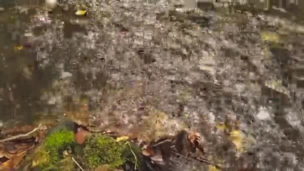 Kalme Stromende Waterstroom Rotsen Slow Motion Door Idyllisch Groene Natuur — Stockvideo