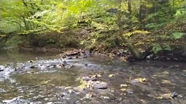 Křišťálově Čistá Voda Tekoucí Přes Skály Kameny Mechem Hedvábnými Vlnkami — Stock video