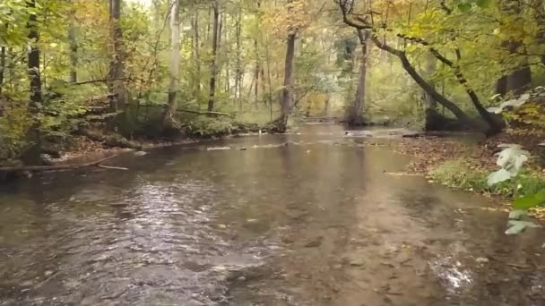 Eau Cristalline Coulant Sur Des Rochers Des Pierres Avec Mousse — Video