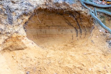 Doğadaki kumlu bir mağarada.