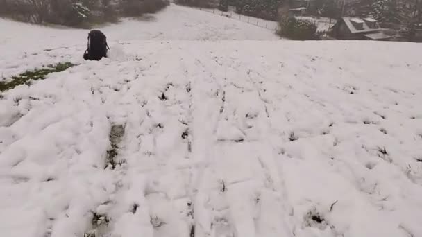 Быстрый Спуск Санях Pov Весело Кататься Санках Глубокому Снегу Высокой — стоковое видео