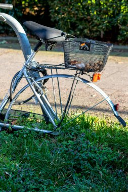 Bisiklet yeşil güneşli bahçede