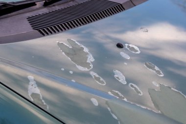 Kirli arabanın kısmi görüntüsü