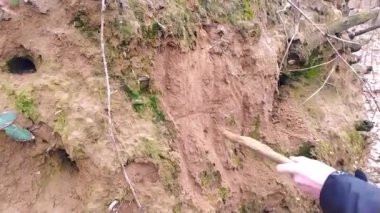 Oğlan ya da çocuk, devrilmiş bir ağacın kumlu köklerini kazarak fare deliği ve fare ve fareler gibi orman hayvanlarından oluşan küçük bir mağarayı keşfediyor ve eğleniyor.
