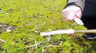 Avrupalı bir adam keskin bir bıçakla sopa yontuyor ağır çekimde bir ormanda kış yürüyüşü turu ve vahşi doğada açık hava aktivitesi gibi ormanda çakıyla ahşap üzerinde çalışıyor.