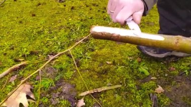 Avrupalı bir adam keskin bir bıçakla sopa yontuyor ağır çekimde bir ormanda kış yürüyüşü turu ve vahşi doğada açık hava aktivitesi gibi ormanda çakıyla ahşap üzerinde çalışıyor.