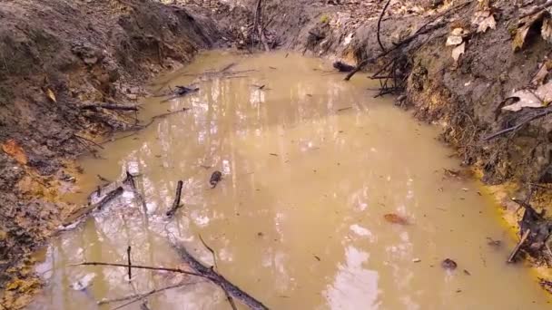 Esguichando Água Uma Poça Câmera Lenta Dia Chuvoso Uma Aventura — Vídeo de Stock