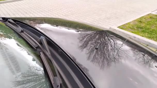 Motorhaube Mit Vielen Hagelschäden Zeigt Naturgewalten Und Die Bedeutung Der — Stockvideo