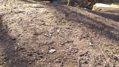 Sakin deredeki küçük dalgalarla birlikte sonbahar ormanı manzarasında yavaş çekimde yüzen sakin bir nehir sağlıklı bir ortamda huzur içinde yürüyüş turizmi için dinlendirici bir gezi gibi.