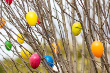 Bir ağaçtaki pek çok renkli Paskalya yumurtası, Almanya 'da bahar kutlamaları ve bahçede dini süslemeler ve el yapımı Hristiyanlık sembolleri olarak birçok farklı renkte Paskalya bayramı gösteriyor.