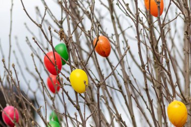 Bir ağaçtaki pek çok renkli Paskalya yumurtası, Almanya 'da bahar kutlamaları ve bahçede dini süslemeler ve el yapımı Hristiyanlık sembolleri olarak birçok farklı renkte Paskalya bayramı gösteriyor.