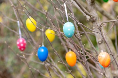 Bir ağaçtaki pek çok renkli Paskalya yumurtası, Almanya 'da bahar kutlamaları ve bahçede dini süslemeler ve el yapımı Hristiyanlık sembolleri olarak birçok farklı renkte Paskalya bayramı gösteriyor.