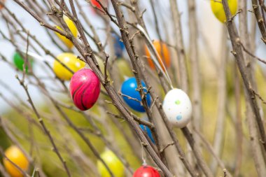 Bir ağaçtaki pek çok renkli Paskalya yumurtası, Almanya 'da bahar kutlamaları ve bahçede dini süslemeler ve el yapımı Hristiyanlık sembolleri olarak birçok farklı renkte Paskalya bayramı gösteriyor.