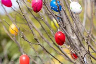 Bir ağaçtaki pek çok renkli Paskalya yumurtası, Almanya 'da bahar kutlamaları ve bahçede dini süslemeler ve el yapımı Hristiyanlık sembolleri olarak birçok farklı renkte Paskalya bayramı gösteriyor.