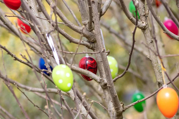 Bir ağaçtaki pek çok renkli Paskalya yumurtası, Almanya 'da bahar kutlamaları ve bahçede dini süslemeler ve el yapımı Hristiyanlık sembolleri olarak birçok farklı renkte Paskalya bayramı gösteriyor.