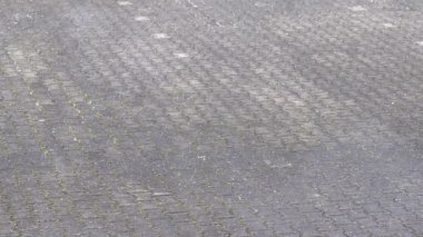 Rüzgârlı ve yağmurlu bir günde düşen pek çok dolu fırtınası meteorolojide hasat ve tarım arazisi tehlikesi kadar tahmin edilemez ve tehlikeli soğuk dolu fırtınası sigortası gibi aşırı hava olaylarını gösteriyor.