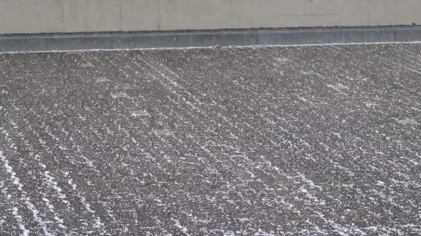 Banyak Hujan Jatuh Pada Hari Berangin Dengan Salju Dan Hujan — Stok Video