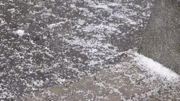 Многие Падающие Градины Ветреный День Морозами Дождями Показывают Экстремальное Погодное — стоковое видео