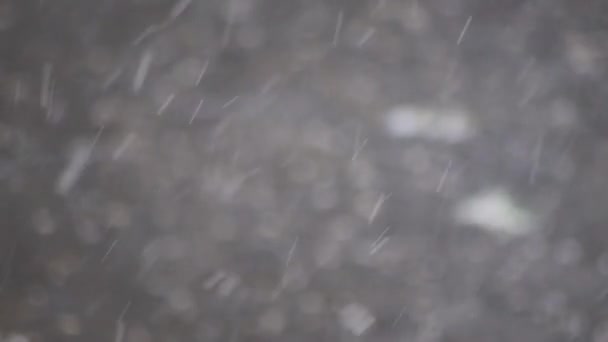 Muchas Piedras Granizo Cayendo Día Ventoso Con Heladas Lluvia Muestran — Vídeo de stock