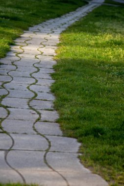 yol ve park yeşil çimen