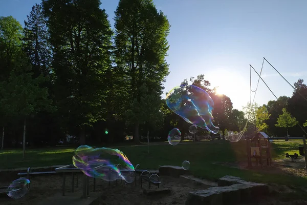 Burbujas Jabón Gigantescas Brillan Brillan Sol Mientras Los Niños Coloridos —  Fotos de Stock
