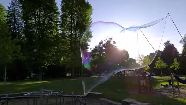Gigantische Seifenblasen Schimmern Und Glitzern Der Sonne Als Bunte Kinder — Stockvideo