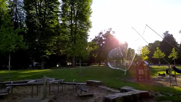 Gigantische Seifenblasen Schimmern Und Glitzern Der Sonne Als Bunte Kinder — Stockvideo