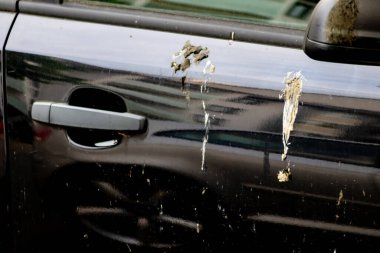 Kirli arabanın kısmi görüntüsü