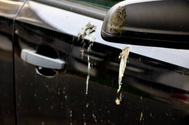 Kirli arabanın kısmi görüntüsü