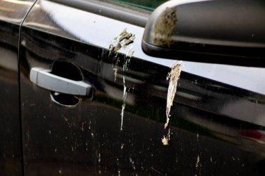 Kirli arabanın kısmi görüntüsü