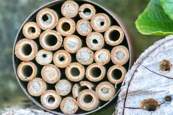 Doğayı Korumak Için Odunlarda Delikler Olan Organik Arı Oteli Arıcıların — Stok fotoğraf