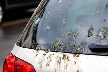 Şehir caddesinde kirli araba