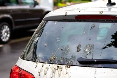 Şehir caddesinde kirli araba