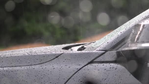 Maska Silnika Samochodowego Wycieraczka Szyby Samochodowej Deszczowe Dni Silnymi Opadami — Wideo stockowe