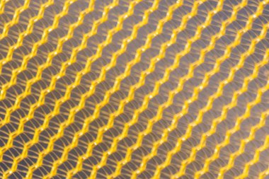 Parlak bir sabahta arka plan ışıklarıyla yakın planda sarı ağ yapısı, altın ışıkta arkaplan kağıdı ve makro kumaş için grafiksel öğe olarak biçimlendirilmiş soyut, dikişsiz materyal desenini gösteriyor.