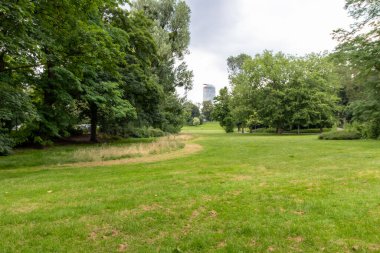 Arkaplanda gökdelen olan yeşil park