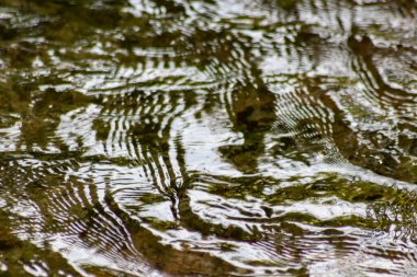 Gölün ya da nehrin su yüzeyi