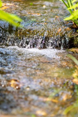 Doğadaki güzel su akıntısı 