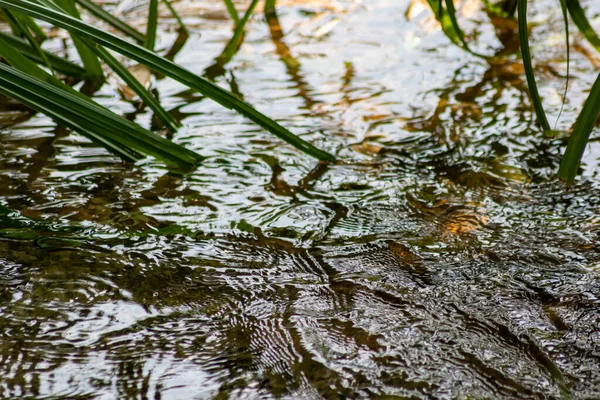 Superficie Del Agua Del Lago Del Río — Foto de Stock