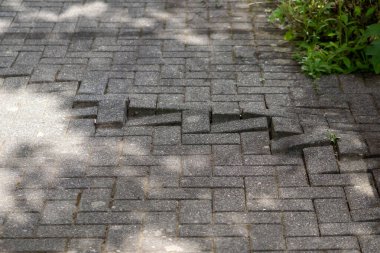 Depremden sonra yıkılan cadde, tehlikeli yıkım ve onarım gerektirdiği gibi yarık ve çatlaklar gösteriyor. Ya da caddenin altındaki ağaç kökü trafik riski olarak yol hasarına ve engebeli yüzeye neden oluyor.