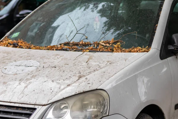 Bil Vindruta Täckt Fallna Blad — Stockfoto