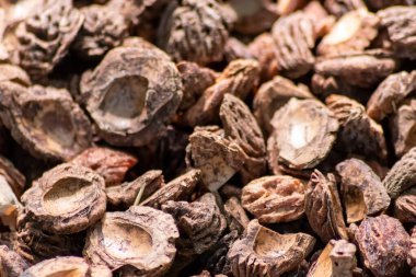 Parçalanmış şeftali tohumlarıyla organik gübre ve organik bahçe manzarasında sürdürülebilir bir yol olan organik arka plan tarımsal ekosistemlerde kuru gübre ve dağınık odun parçacıkları gibi yakın plan.