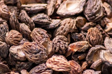 Parçalanmış şeftali tohumlarıyla organik gübre ve organik bahçe manzarasında sürdürülebilir bir yol olan organik arka plan tarımsal ekosistemlerde kuru gübre ve dağınık odun parçacıkları gibi yakın plan.