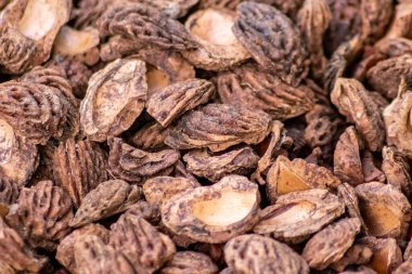 Parçalanmış şeftali tohumlarıyla organik gübre ve organik bahçe manzarasında sürdürülebilir bir yol olan organik arka plan tarımsal ekosistemlerde kuru gübre ve dağınık odun parçacıkları gibi yakın plan.