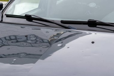 Şiddetli hava koşulları, düşen ağaçlar ve dolu yağışlarıyla çarpışan motor motor kaputu, araba sigortasının kurbanlar için oto tamiratı ve hava durumu sigortası ve acil durum sigortası ihtiyacı olduğunu gösteriyor.