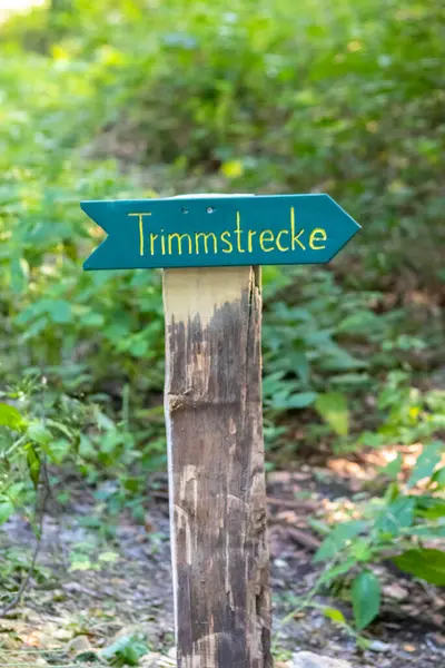 Schild Holzstab Wald — Stockfoto