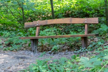 Parktaki ya da ormandaki ahşap bank